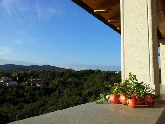 Residence Oliveto Mare Carso Систияна Екстериор снимка